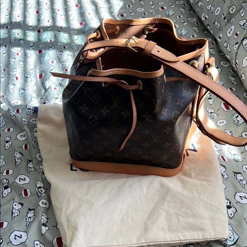 Louis Vuitton Monogram Bucket Bag